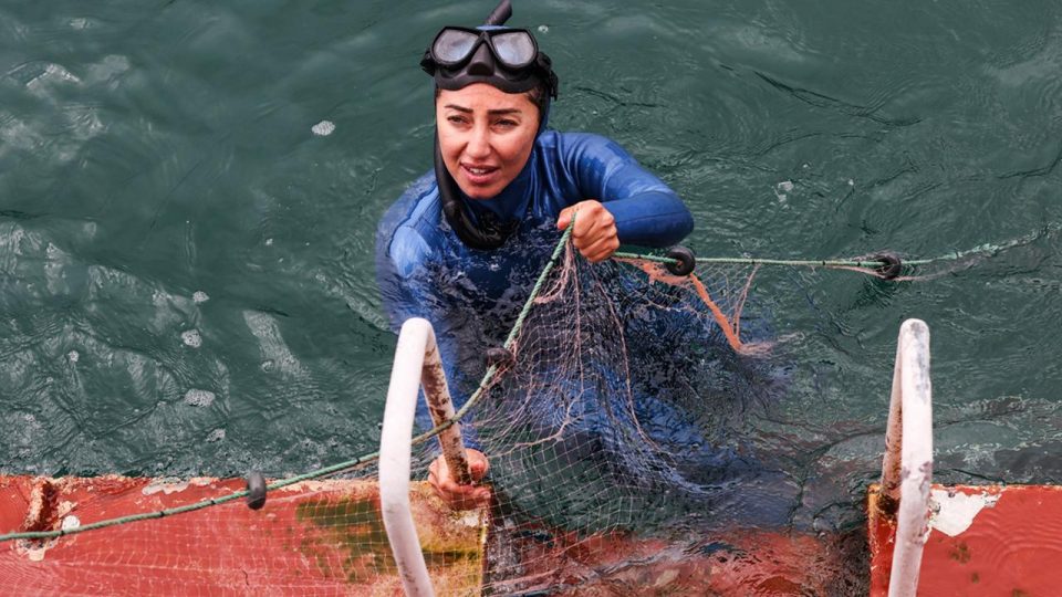 Şahika Ercümen ‘Hayalet Avcılığa’ dikkati çekmek için dalış yaptı