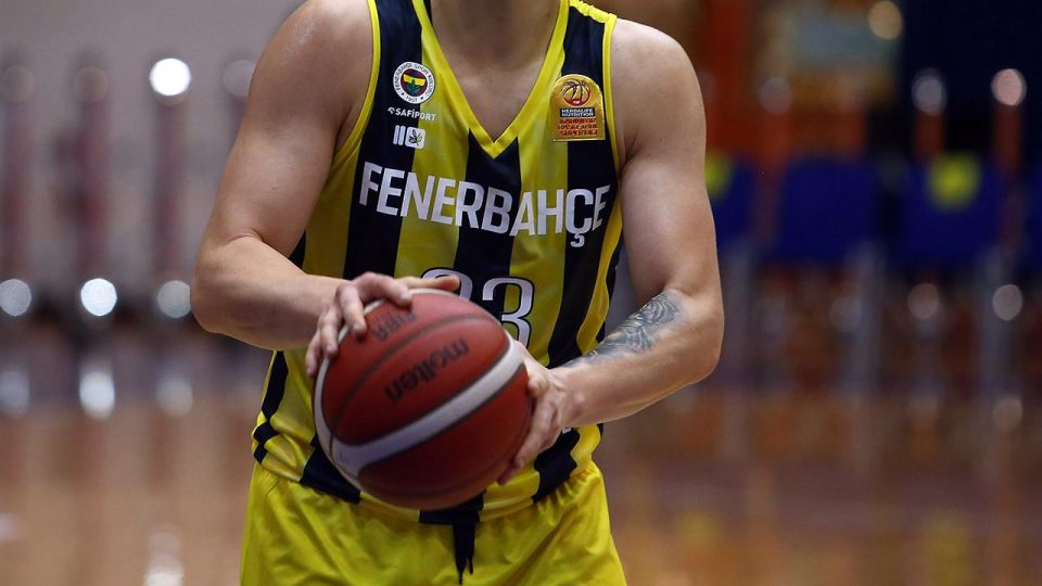 Fenerbahçe Safiport Macaristan deplasmanında